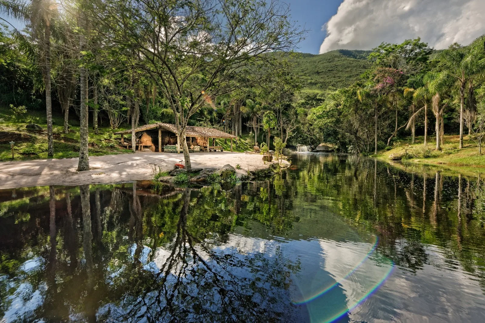 La splendeur de l’Ibiti Projeto («Projet Ibiti») : 6 000 hectares d’une dense forêt émeraude,